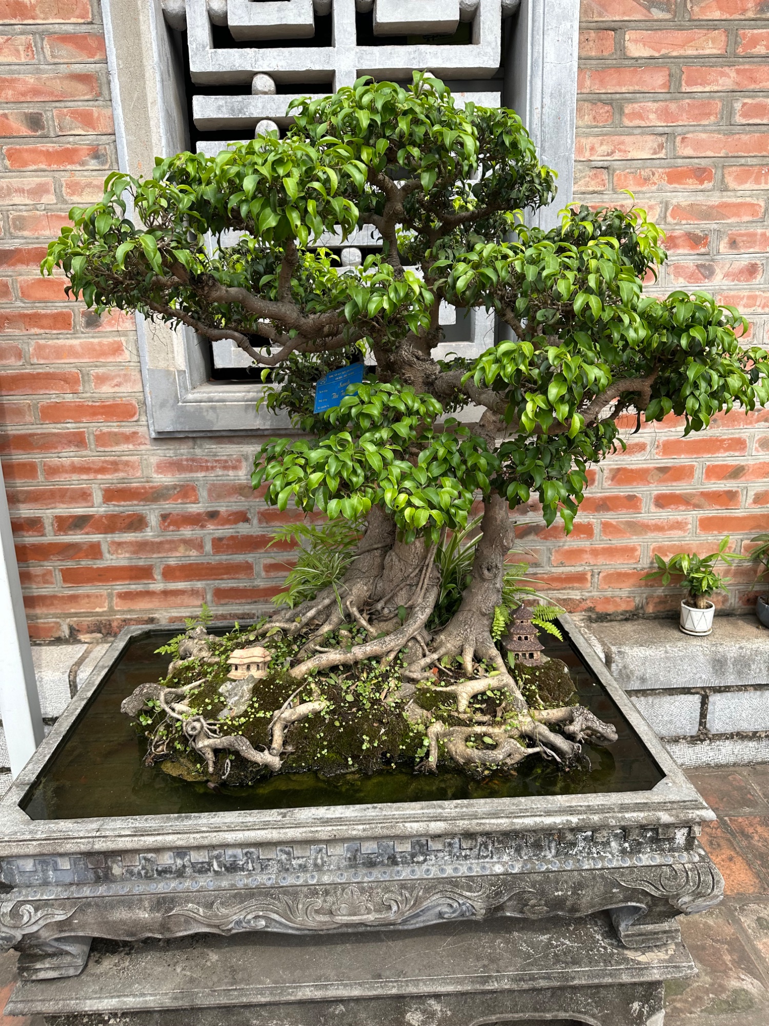 DAY 3: Tale of Three Hanoi's in Hanoi — photo 11