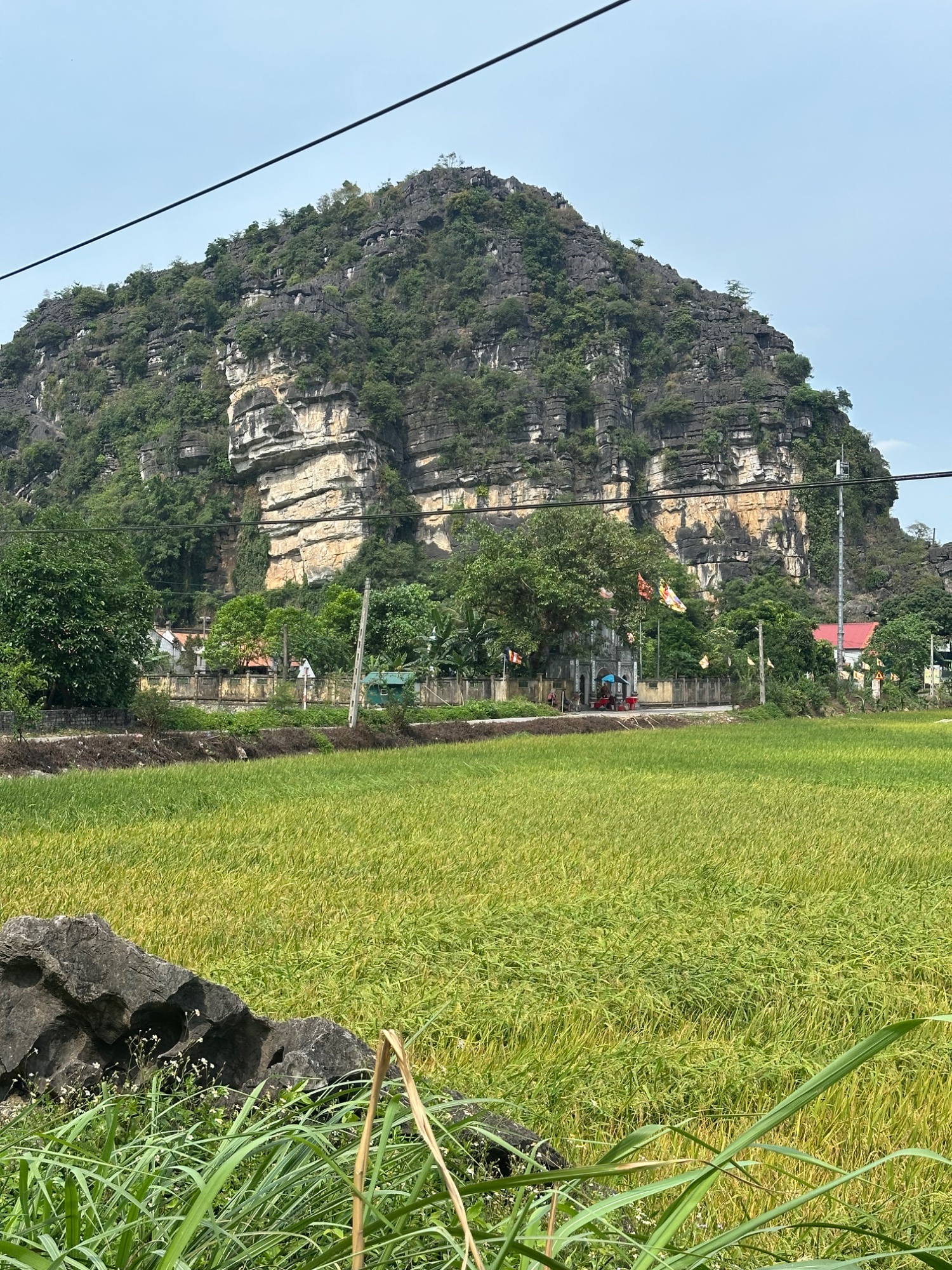 Day 4: Ninh Binh, and the Ballad of King Dingaling in Ninh binh vietnam — photo 11