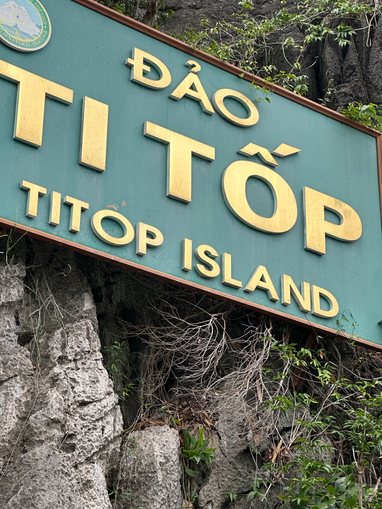 Day 5 My Mid-Life Crisis in Ha Long Bay in Hanoi old quarter — photo 13