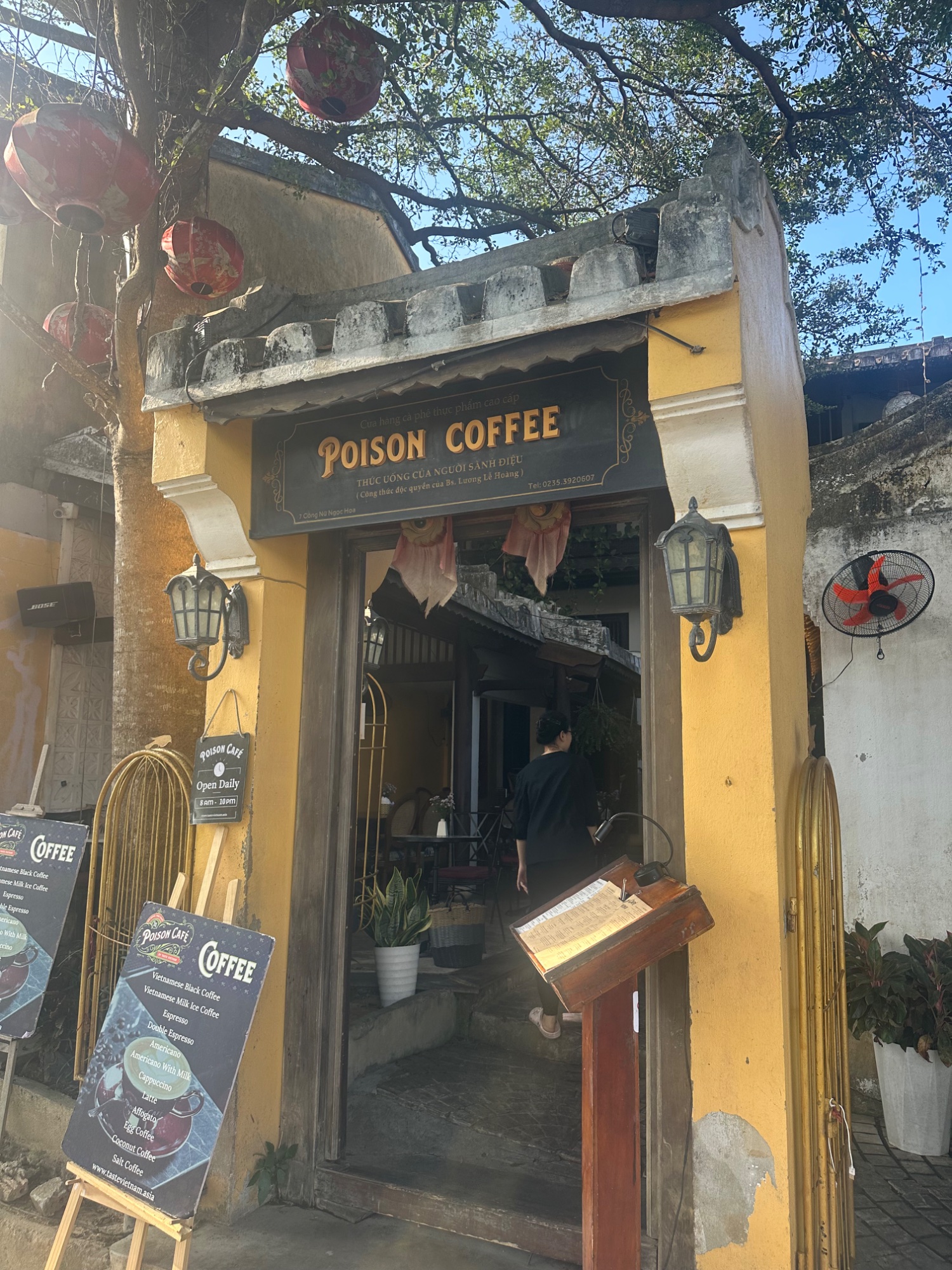 Day 9 Serenity and Sensation in Hoi An — photo 5