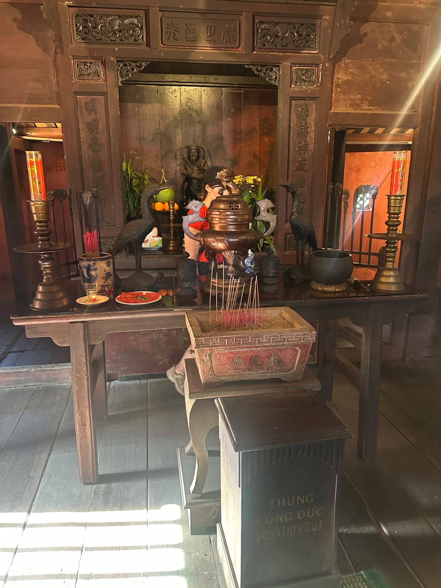 Day 9 Serenity and Sensation in Hoi An — photo 6