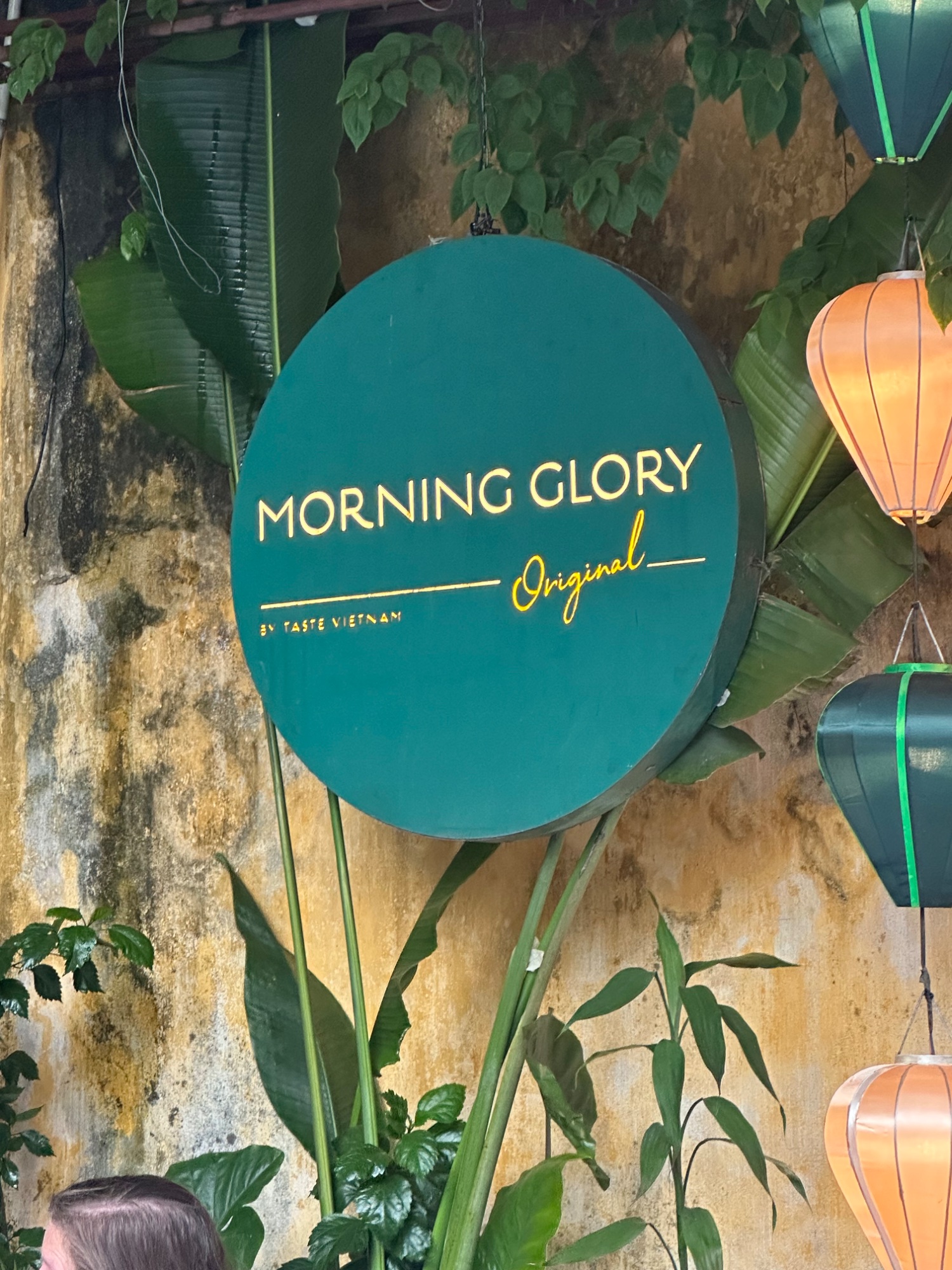 Day 9 Serenity and Sensation in Hoi An — photo 16