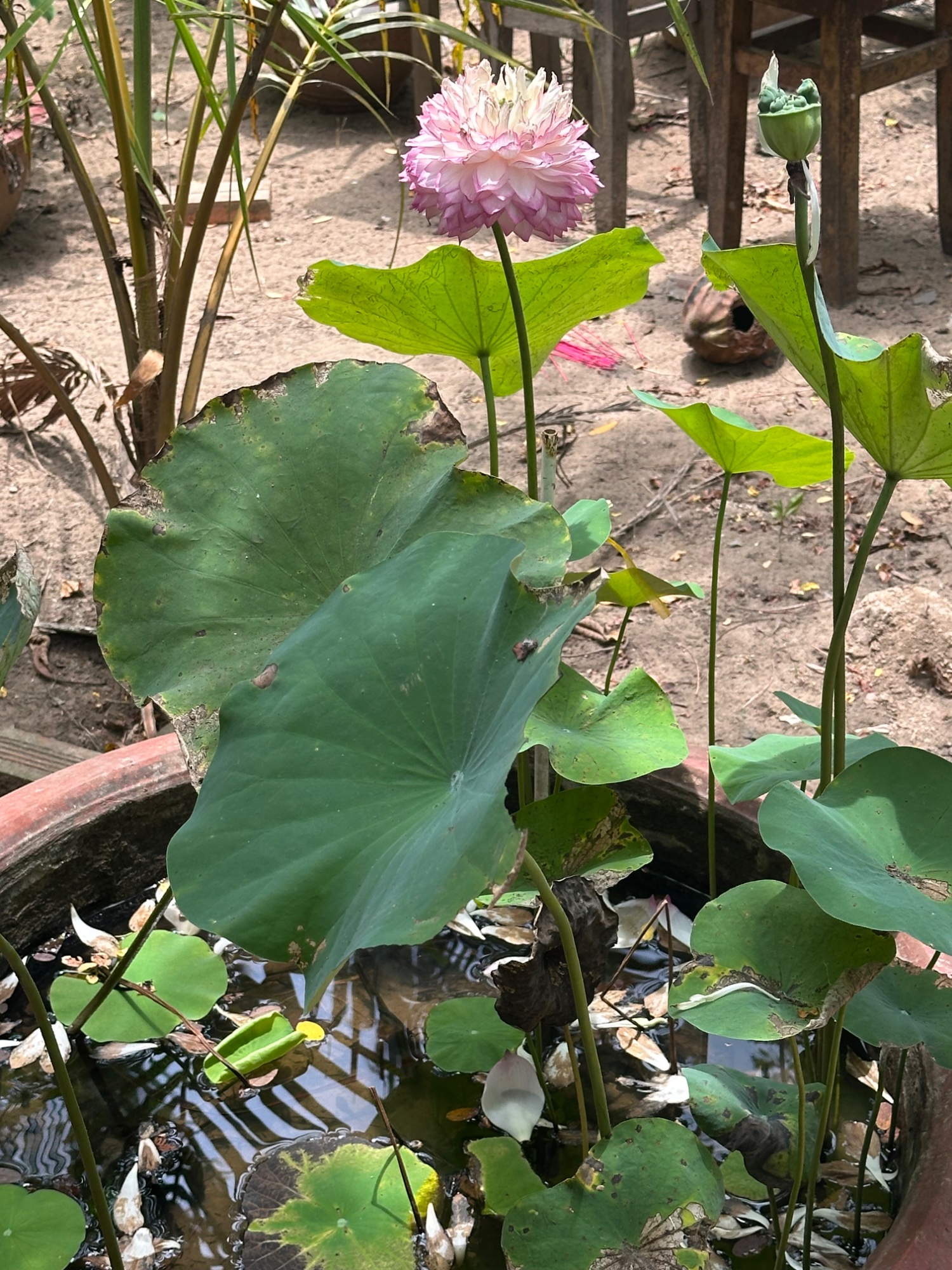 Day 11. Mayhem and Mekong Delta Magic in Saigon — photo 10