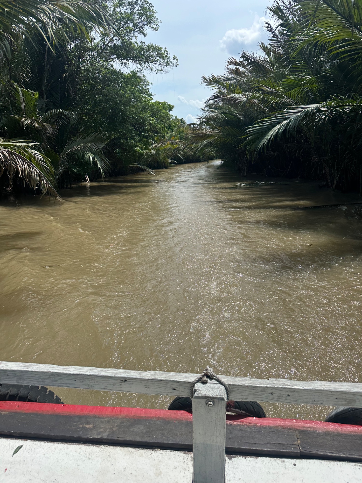 Day 11. Mayhem and Mekong Delta Magic in Saigon — photo 16