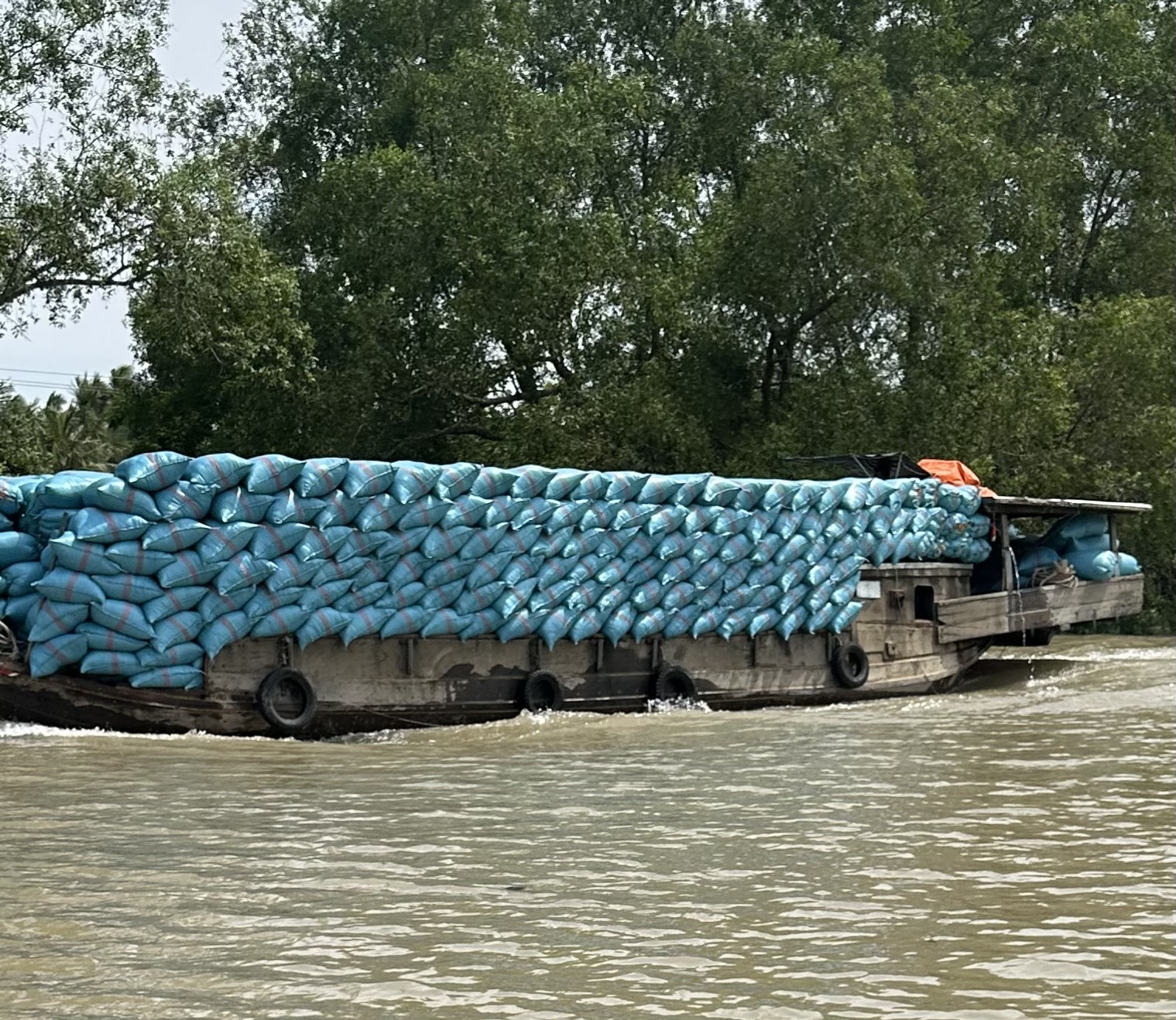 Day 11. Mayhem and Mekong Delta Magic in Saigon — photo 18